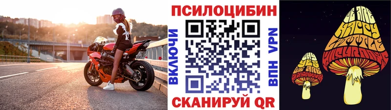 купить цена hydra зеркало Псилоцибиновые грибы мицелий Саки